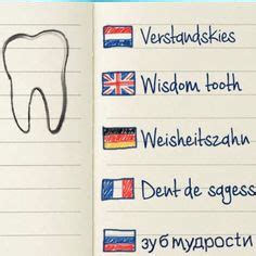 beste afbeeldingen van tandheelkundige kliniek helder tandheelkunde tanden en gezonde tanden