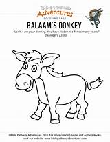 Donkey Balaam Coloring Bible His Pages Kids Worksheet Sunday Balaams School Printable Colouring Pathway Download1 Sabbath Homeschooling Lessons Template Adventures sketch template