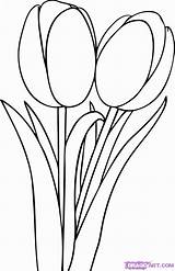Coloring Tulip Pages Tulips Popular Color sketch template