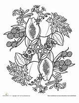 Mandala Choose Board Fruit Coloring Pages sketch template