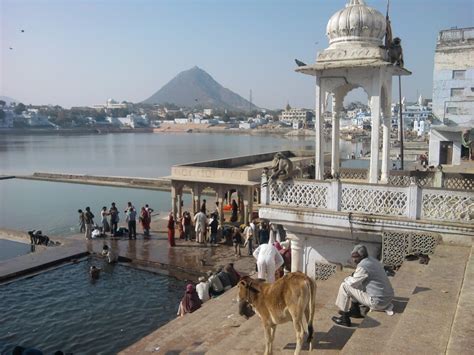 top 10 things ajmer is famous for trip101