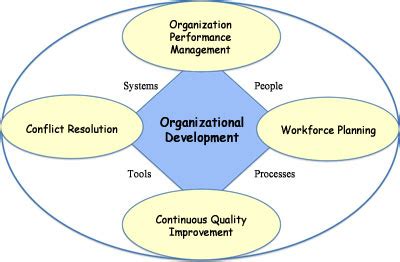 beginners guide  organization development organisation development