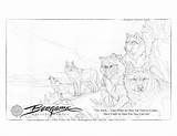 Coloring Pages Jody Bergsma Animal sketch template