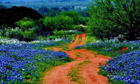 10 Most Beautiful Places In Texas Video Goes Viral For