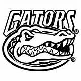 Florida Gators Logo Coloring Pages Template Drawing sketch template