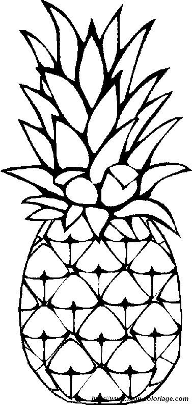coloring fruits page pineapples