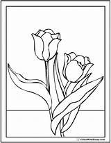 Coloring Tulip Pages Flower Tulips Windy Pdf Colorwithfuzzy sketch template