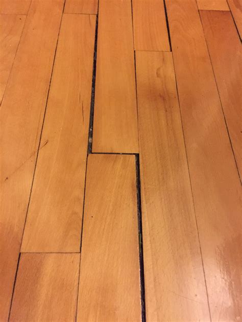 fill gaps  wood floor boards carpet vidalondon