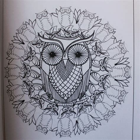 amazoncom mandalas  color owls mandala pattern coloring pages