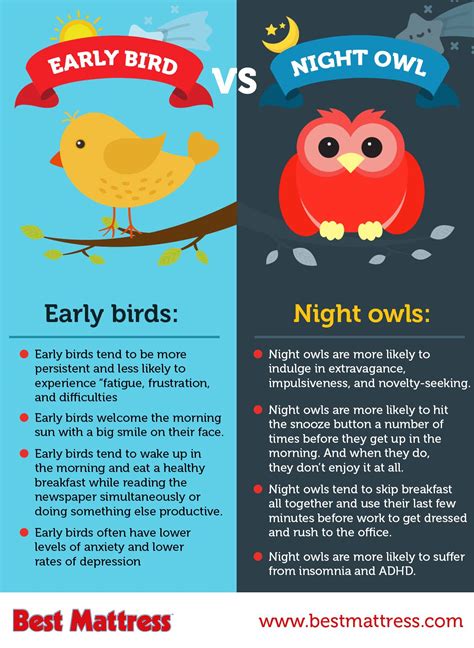 Are You An Early Bird Or A Night Owl Night Owl Owl Early Bird