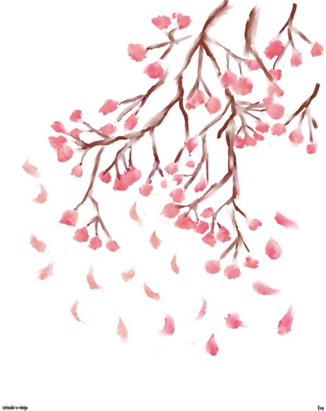 cherry blossoms   zetsuki  ninja  deviantart
