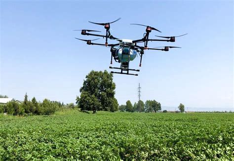 drone  killing pests  cotton field    time photo