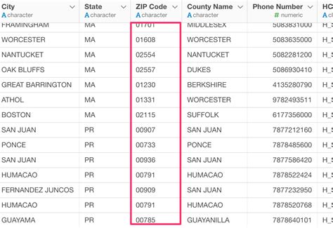 geocoding  address data  zipcode package visualize