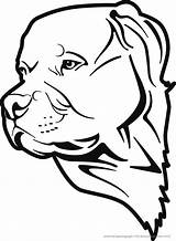 Hunde Ausmalbilder Cani Malvorlage Rottweiler Tiere Testa Ausmalbild Stampare Heilpaedagogik sketch template