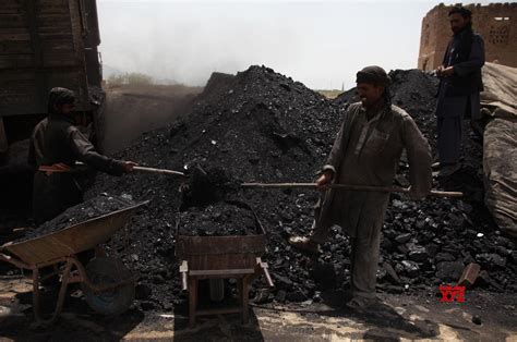 Jindal Steel Hindalco Among 22 Companies Submitting Bids For Coal