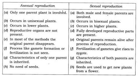 State The Main Difference Between Asexual And Sexual Reproduction