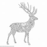 Deer Stag Designlooter sketch template