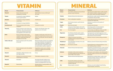complete printable vitamin  mineral chart
