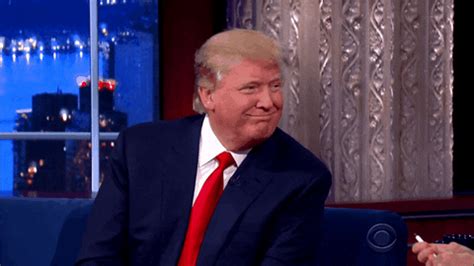 trump drinking gif find share  giphy