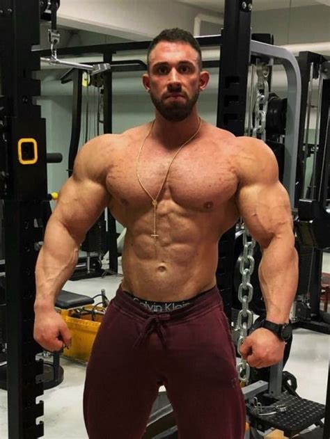 kevin wolter muscles 39 in 2019 muscle men muscle muscular men