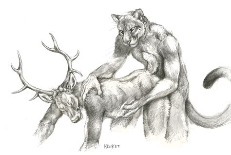 Rule 34 2015 Anal Anal Sex Anthro Antlers Cougar Duo Feline From