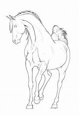 Horse Arabian Coloring Lineart Pages Stallion Drawing Horses Line Deviantart Drawings Colouring Printable Bucking Clipart Stallions Color Getdrawings Sketches Getcolorings sketch template