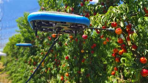 fruit picking drones  solve  farm labor shortage