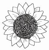 Sunflower Coloring Pages Template Printable Clipart Sunflowers Color Patterns Flower Plasma Flowers Cut Chocolate Yard Pattern Print Click Leaves Stencil sketch template