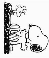 Snoopy Brown Woodstock Peanuts Cartoni Animati Kolorowanki Dzieci Fistaszki Dla Colorare Immagini Kids sketch template