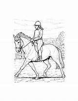 Realistic Pferde Pferd Dressur Getdrawings Kleurplaat Malbuch Mewarna sketch template