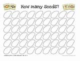 Seed Printable Activities Tiny Seeds Carle Eric Theeducatorsspinonit Many Inspired Fun Preschool Number Activity Kids Provided Don Re Also If sketch template