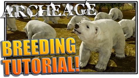 archeage polar bear breeding tutorial archeage breeding archeage