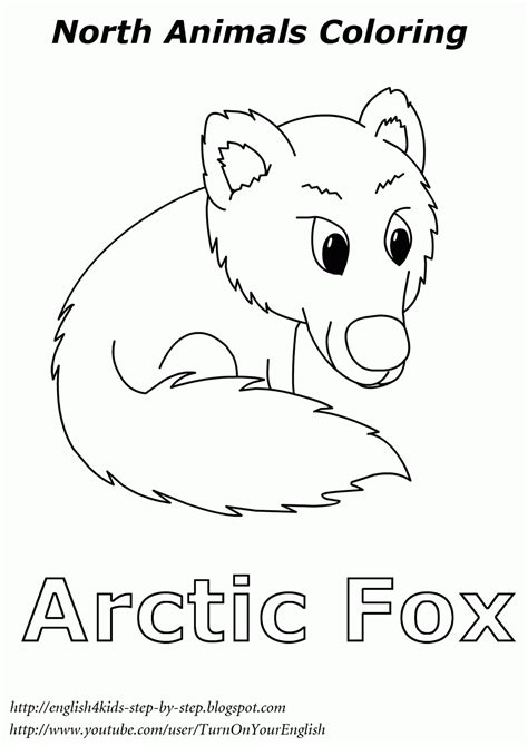arctic coloring page coloring home