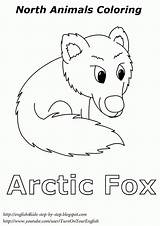 Arctic Animals Coloring Fox Worksheets Kids Winter Polar Preschool Pages Animal Artic Step Children Songs Song Bear Crafts English4kids Printable sketch template