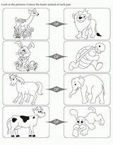 Coloring Pages Opposites Animal Color Faster Clipart Printable Look Pair Kids Cartoon English Educational Each Activity Popular Getcolorings Library Coloringhome sketch template