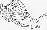 Snail Escargot Caracoles Coloriages Chachipedia Colorier sketch template