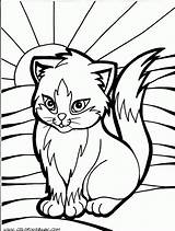 Coloring Pages Cats Cute Getdrawings sketch template