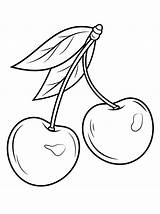 Owoce Letnie sketch template