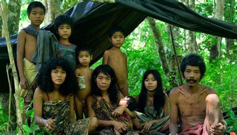 Suku Suku Asli Indonesia Ini Mampu Bertahan Tanpa Mengikuti Modernitas