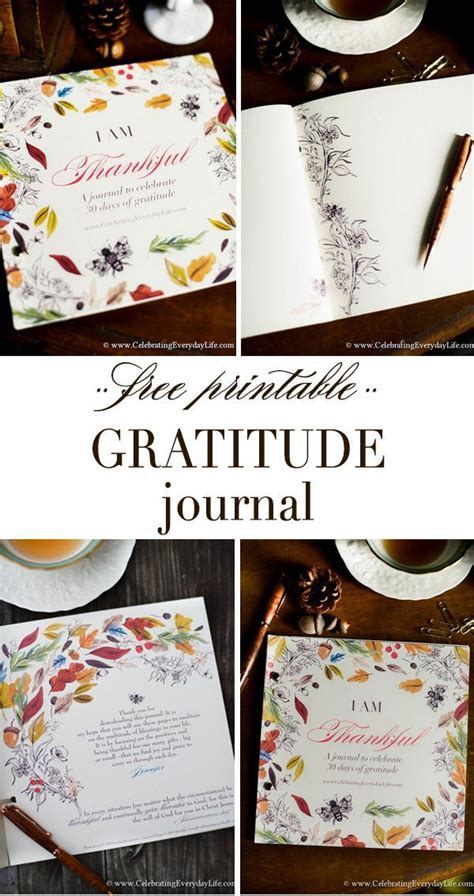 gratitude journal  gratitude journal gratitude journal