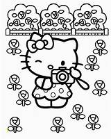 Kitty Pages Divyajanani sketch template
