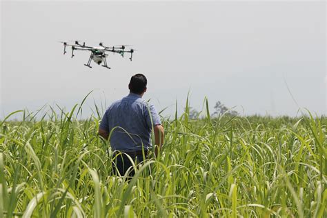 utilidades  uso de drones na agricultura