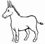 Asno Burros Asnos Burro Donkey sketch template