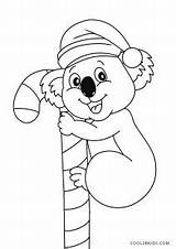 Koala Coloring Pages Christmas Printable sketch template