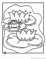 Coloring Frog Lily Pad Pages Printable Cartoon Pads Kids Frogs Bat Clipart Amphibians Drawing Prince Crafts Gif Color Library Getdrawings sketch template