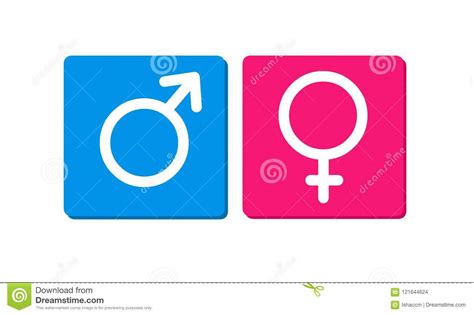 Male And Female Sex Symbols Gender Symbol Icons Stock Vector