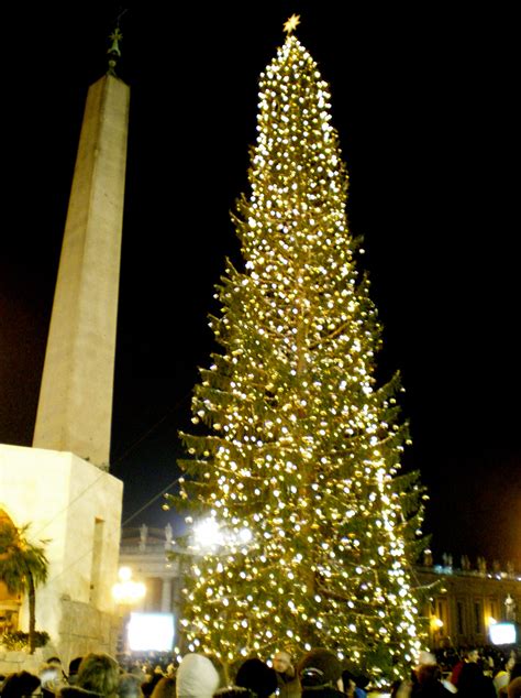 filevatican christmas treejpg wikipedia   encyclopedia