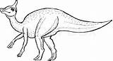 Saurolophus Vector sketch template