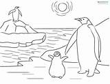 Coloring Penguin Antarctica Printable Sheets Kids Pages Penguins Color Printables sketch template