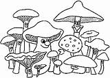 Kleurplaten Mewarnai Jamur Paddestoelen Pilze Champignons Funghi Cogumelos Kleurplaat Pilz Ausmalbild Coloriages Mushrooms Malvorlage Bergerak Champignon Animierte Animaatjes Fungo Colouring sketch template